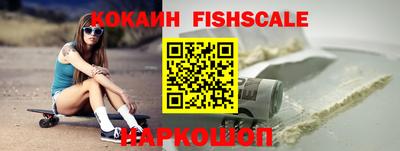 крисы Кулебаки