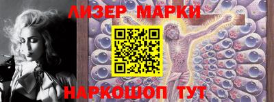 крисы Кулебаки