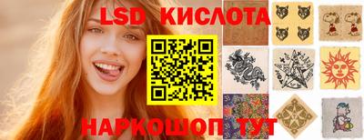 крисы Кулебаки