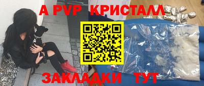 крисы Кулебаки