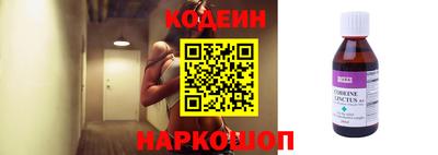 крисы Кулебаки