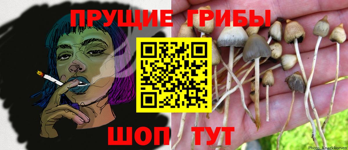 Галлюциногенные грибы мицелий  Вход с VPN  Тосно 